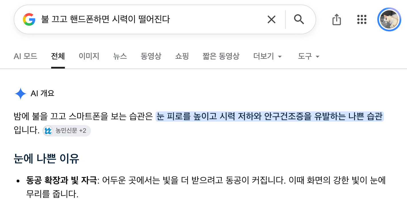 구글 검색 결과 AI 요약