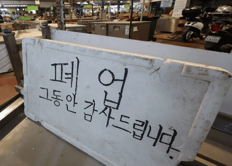 기사 이미지