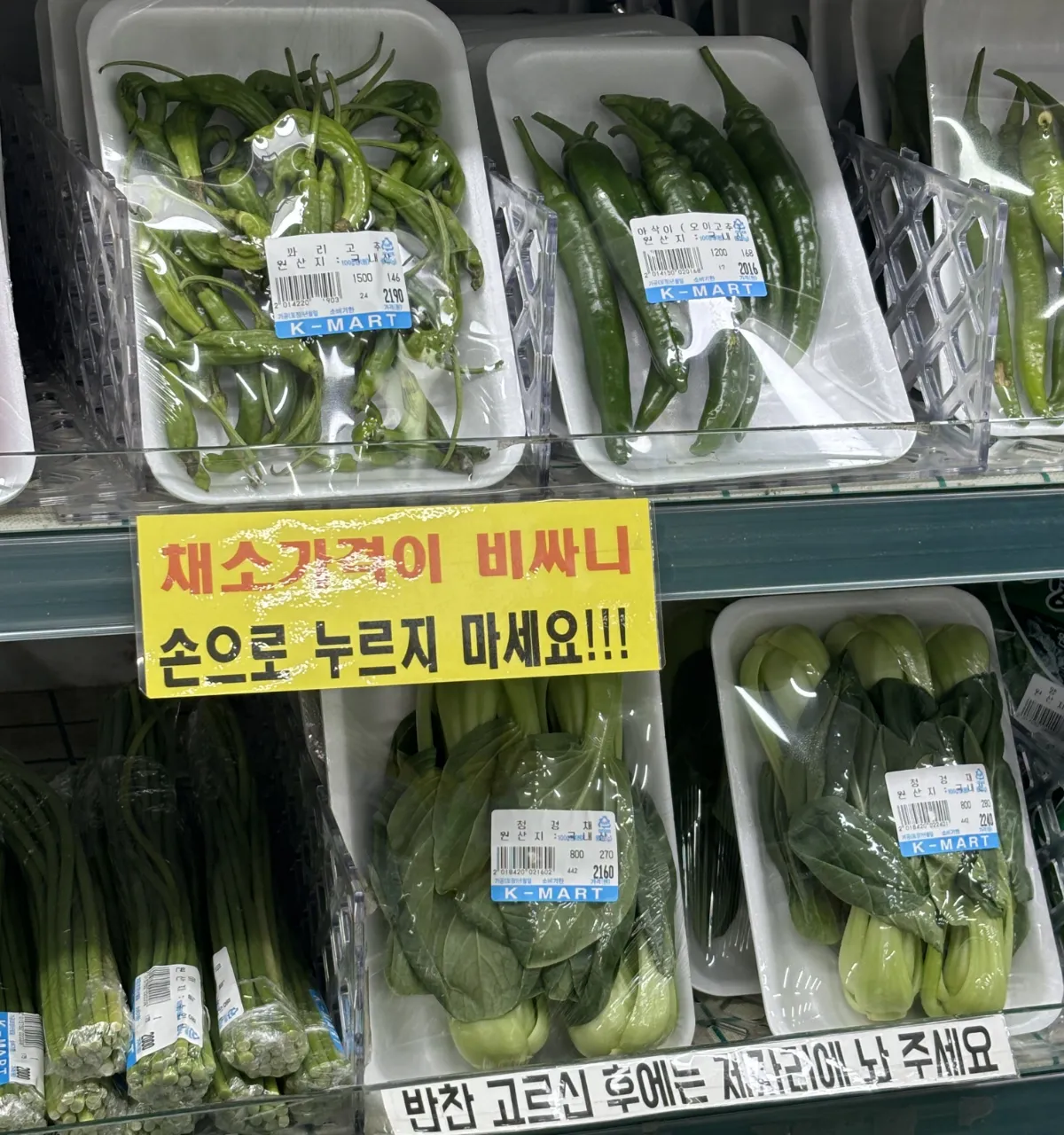 높아진 농산물 가격 <직접 촬영>